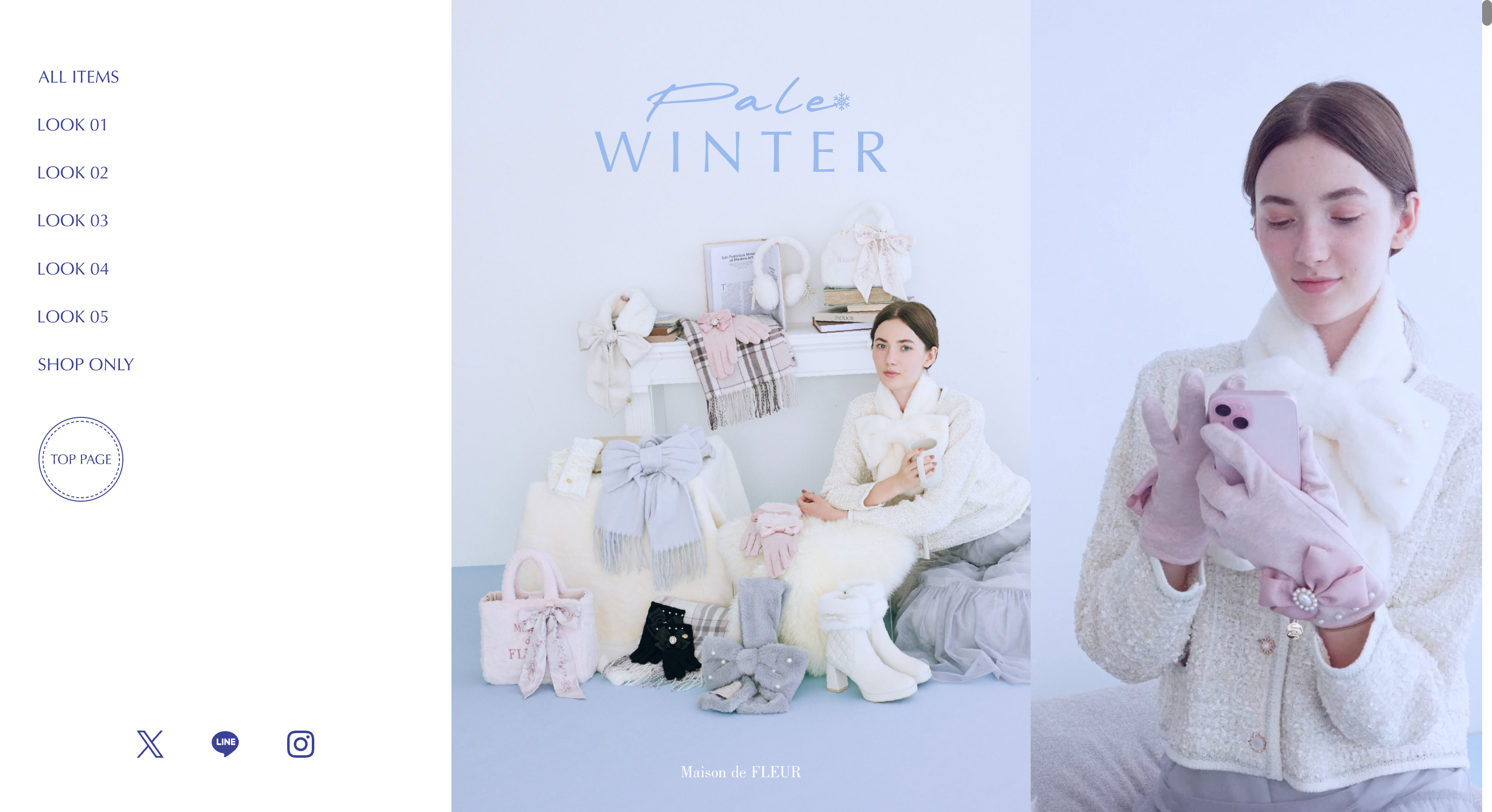 PALE WINTER | Maison de FLEUR